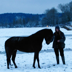 Sola and Poetica in the snow